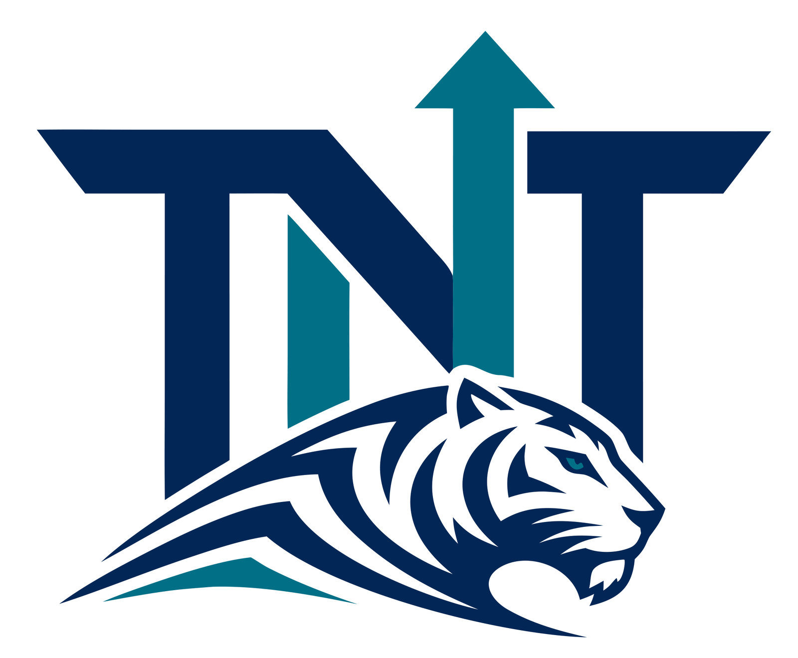 TNT Restoration and Construction